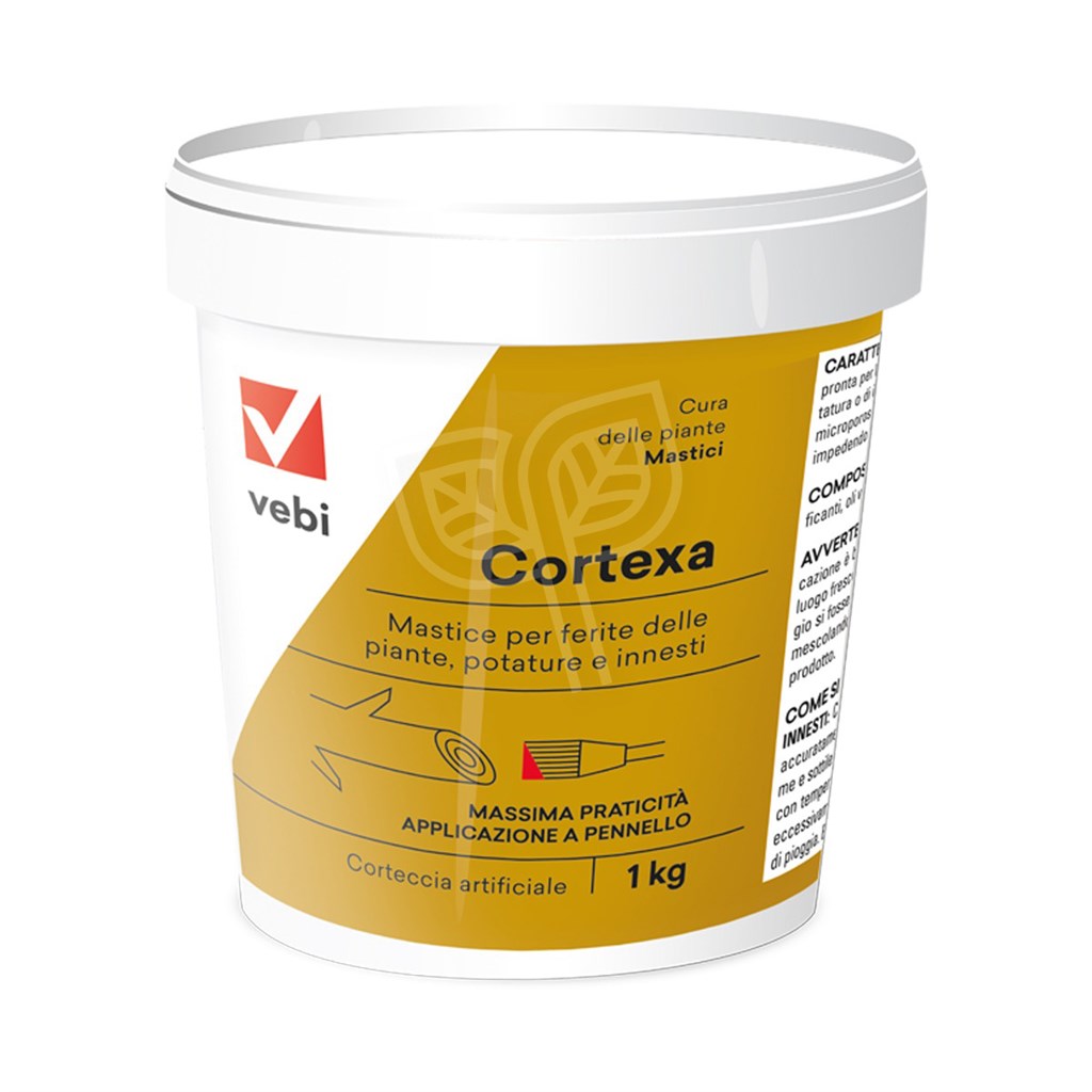 CORTEXA MASTICE - BARATTOLO GR 250 - VEBI 00405